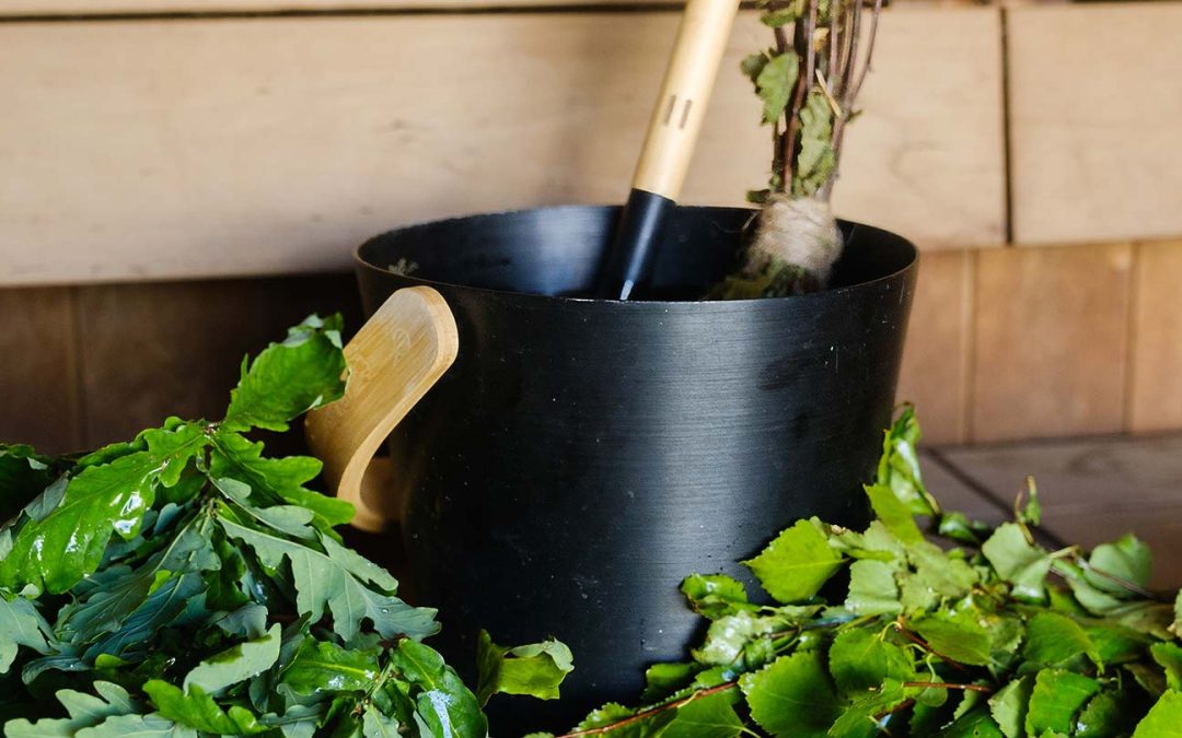 The Importance of Training & Standards In Sauna Culture, In Scotland